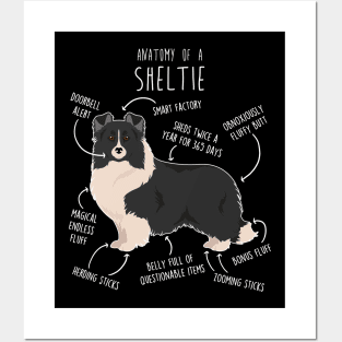 Bi Black Sheltie Shetland Sheepdog Anatomy Posters and Art